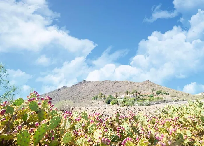 Beautiful Holiday In Arona With Private Terrace * Arona (Tenerife)