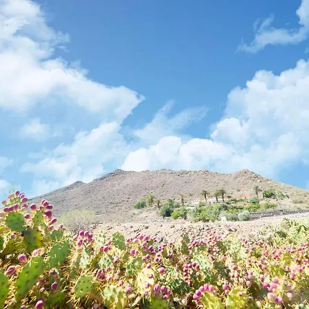 Beautiful Holiday In Arona With Private Terrace * Arona (Tenerife)
